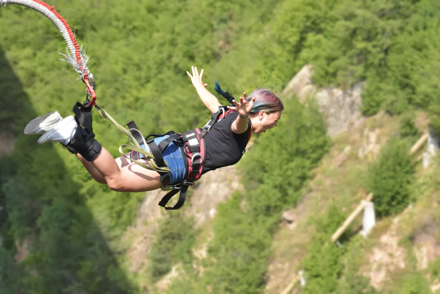 A bungee jumper suspended above a forested gorge